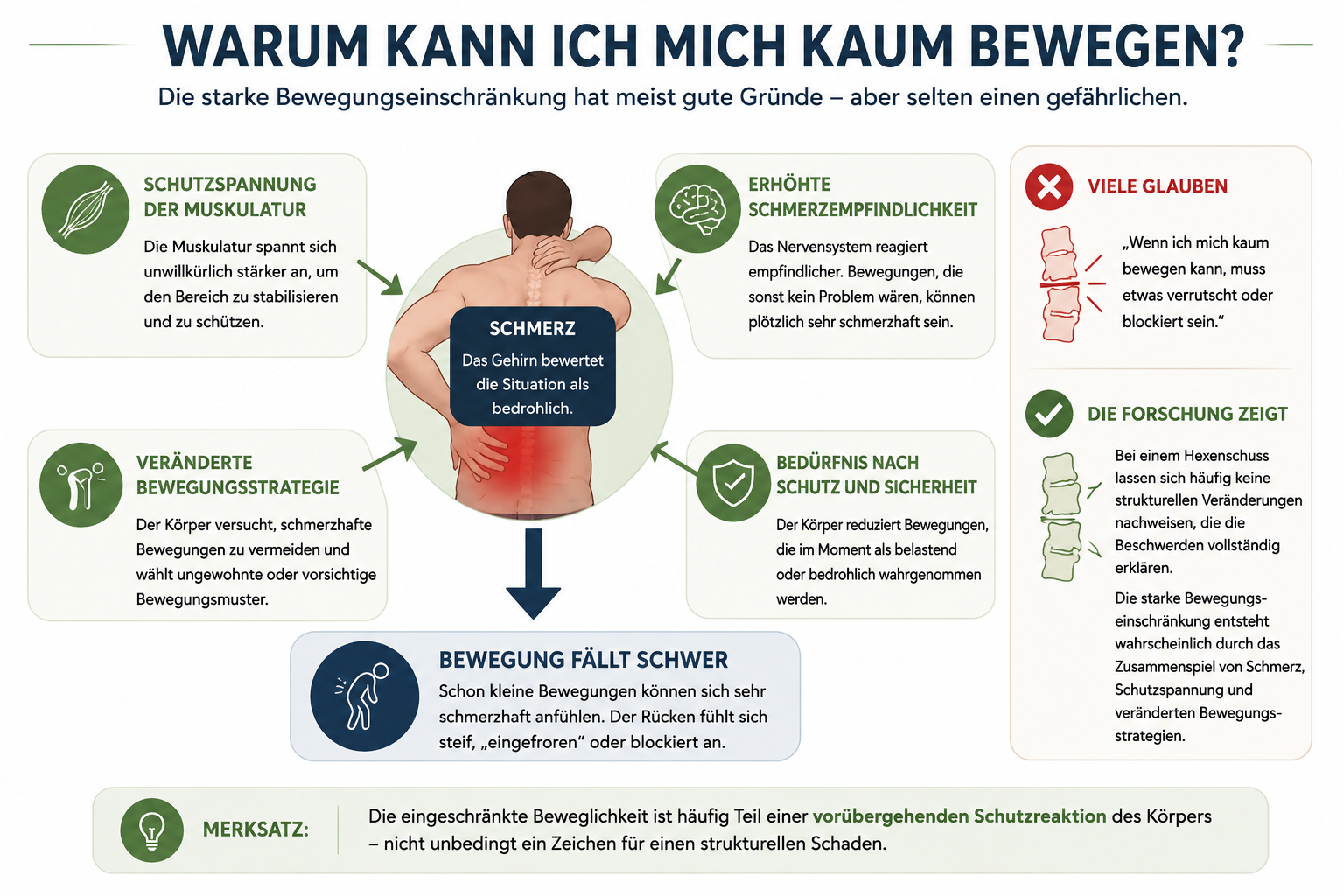Infografik: Warum kann ich mich kaum bewegen? Schutzspannung, erhöhte Schmerzempfindlichkeit, veränderte Bewegungsstrategie.