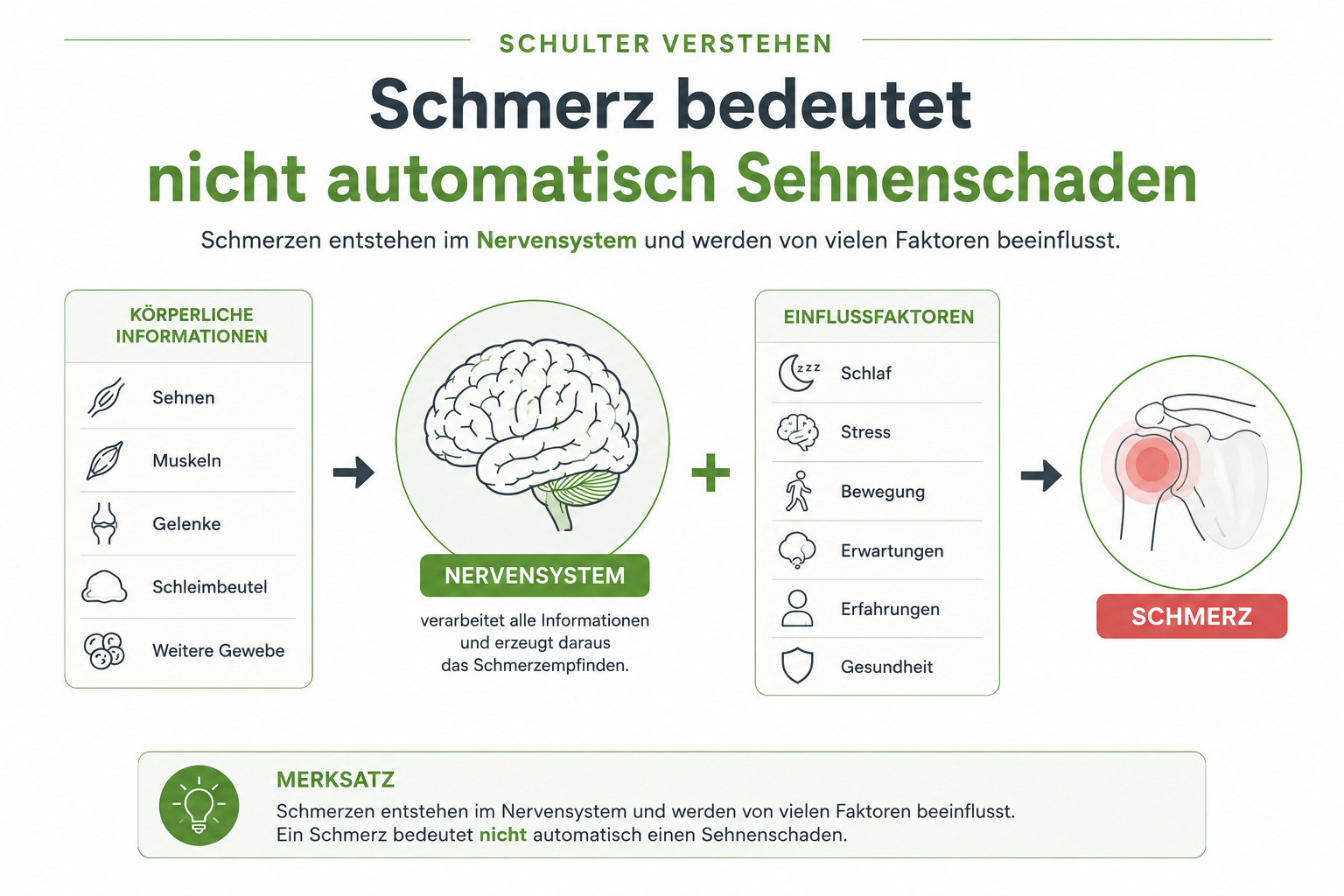 Infografik: Schmerz bedeutet nicht automatisch Sehnenschaden bei Schulterschmerzen