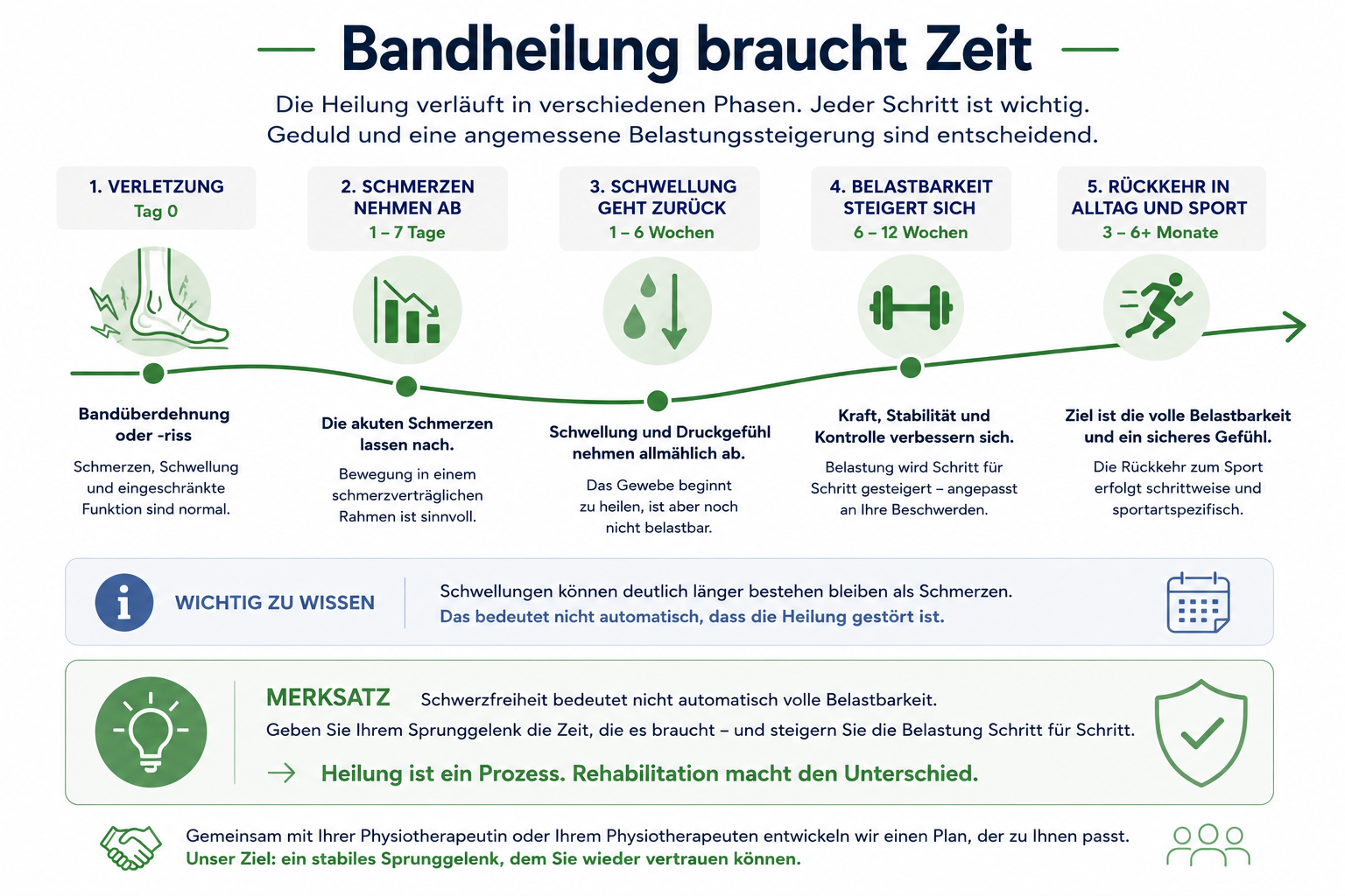 Infografik zum typischen Phasenverlauf der Bandheilung nach einer Sprunggelenkverletzung