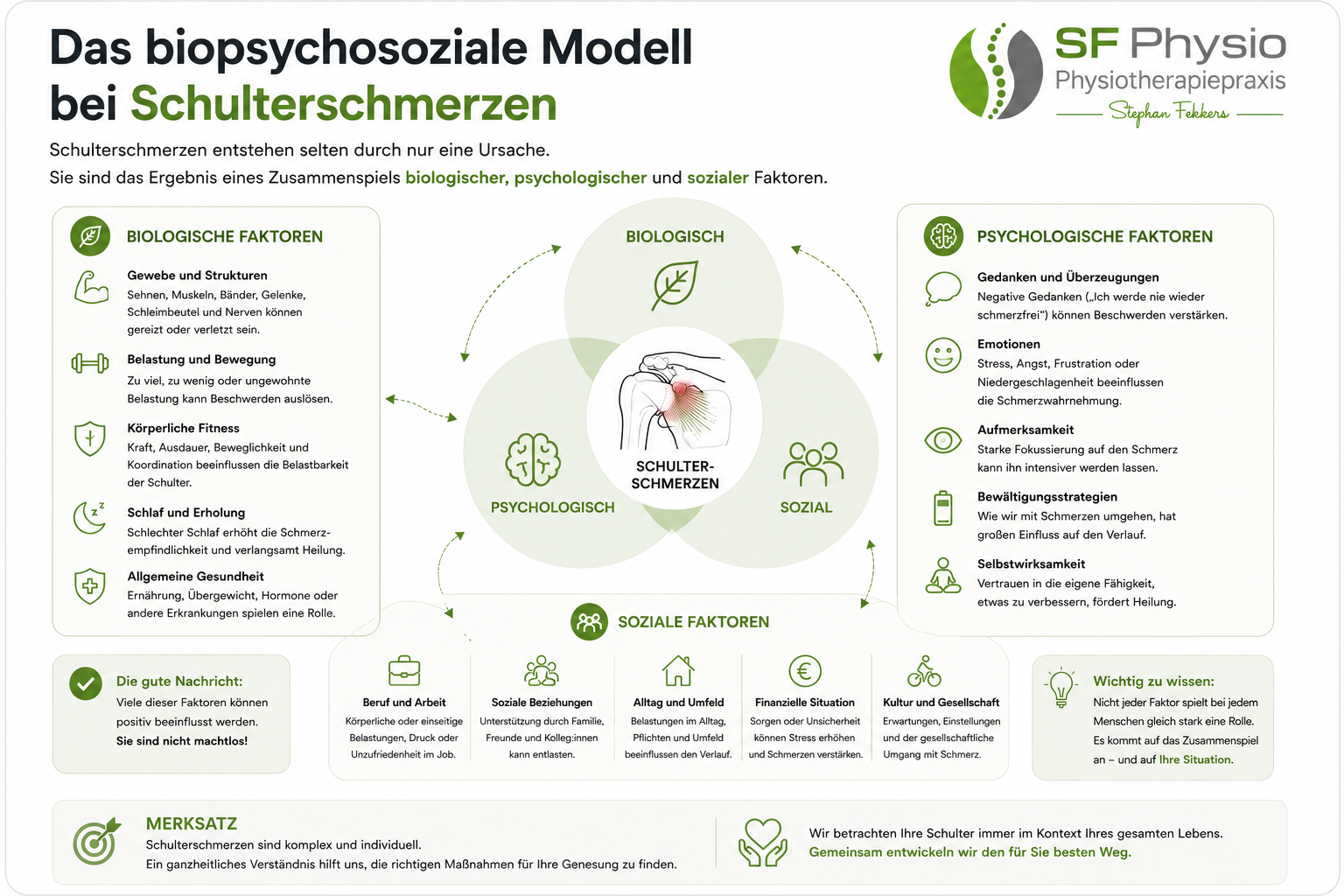Infografik zum biopsychosozialen Modell bei Schulterschmerzen