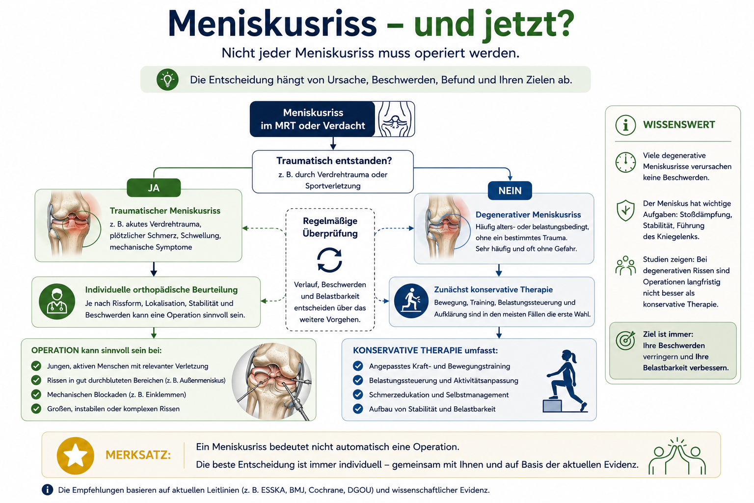 Infografik zur Einordnung von Meniskusrissen bei Knieproblematiken