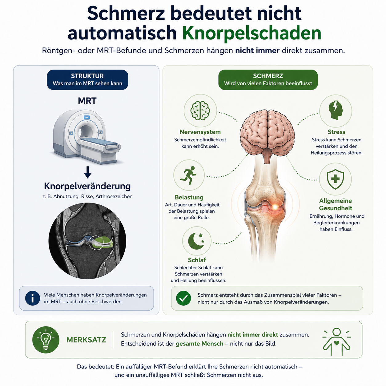 Infografik: Schmerz bedeutet nicht automatisch Knorpel- oder Meniskusschaden bei Knieproblemen